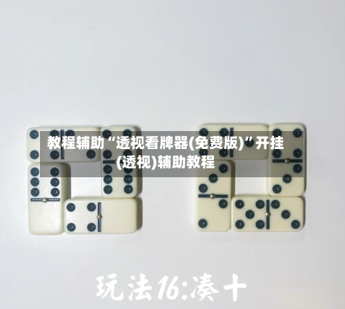 教程辅助“透视看牌器(免费版)”开挂(透视)辅助教程-第3张图片