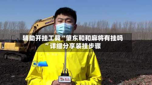 辅助开挂工具“肇东和和麻将有挂吗”详细分享装挂步骤-第3张图片