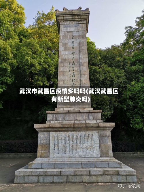 武汉市武昌区疫情多吗吗(武汉武昌区有新型肺炎吗)-第2张图片
