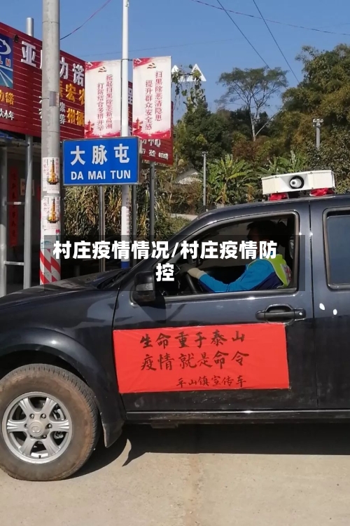 村庄疫情情况/村庄疫情防控