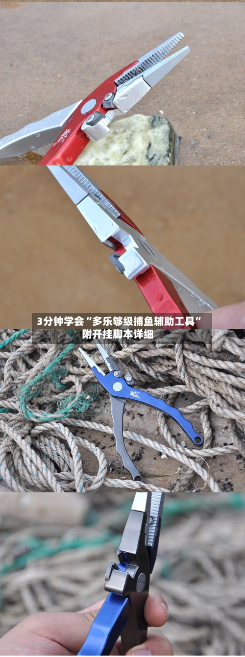 3分钟学会“多乐够级捕鱼辅助工具”附开挂脚本详细-第3张图片