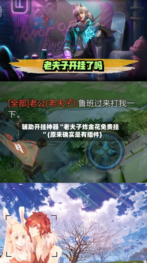 辅助开挂神器“老夫子炸金花免费挂”(原来确实是有插件)-第2张图片