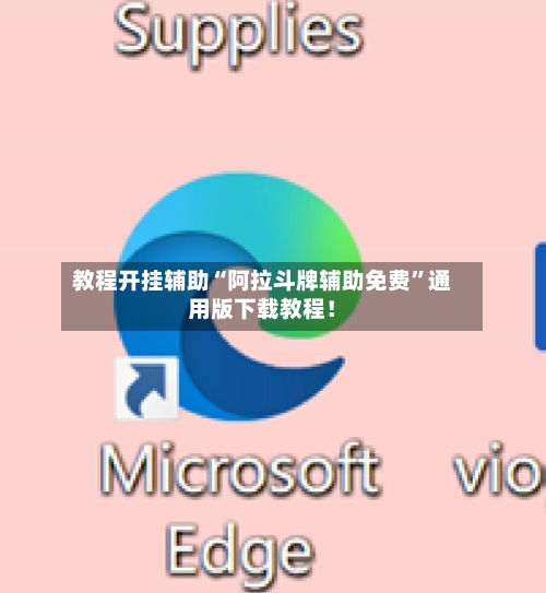 教程开挂辅助“阿拉斗牌辅助免费”通用版下载教程！-第2张图片