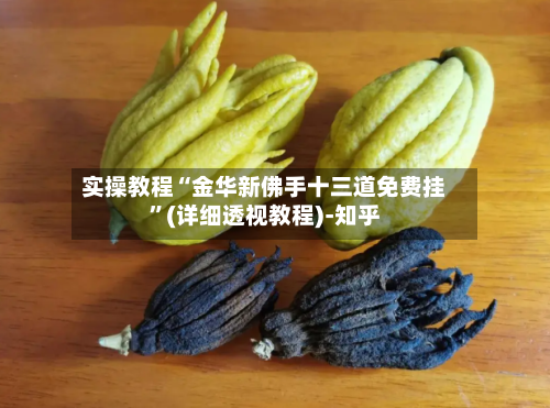 实操教程“金华新佛手十三道免费挂”(详细透视教程)-知乎-第2张图片