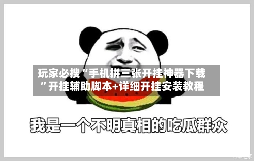 玩家必搜“手机拼三张开挂神器下载”开挂辅助脚本+详细开挂安装教程-第2张图片