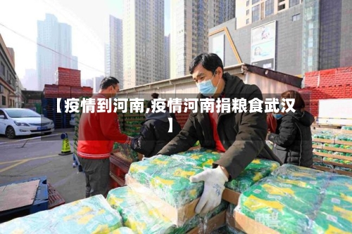 【疫情到河南,疫情河南捐粮食武汉】