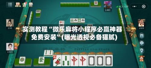 实测教程“微乐麻将小程序必赢神器免费安装”(曝光透视必备猫腻)-第2张图片