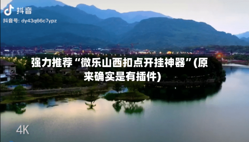 强力推荐“微乐山西扣点开挂神器”(原来确实是有插件)-第2张图片