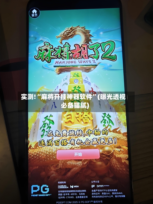 实测!“麻将开挂神器软件”(曝光透视必备猫腻)-第2张图片