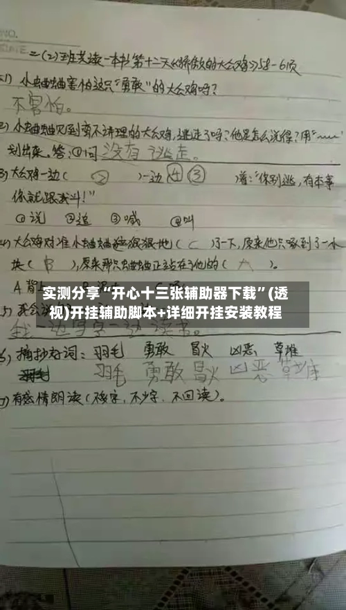 实测分享“开心十三张辅助器下载”(透视)开挂辅助脚本+详细开挂安装教程-第2张图片