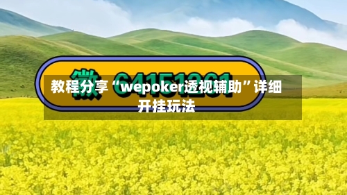 教程分享“wepoker透视辅助”详细开挂玩法