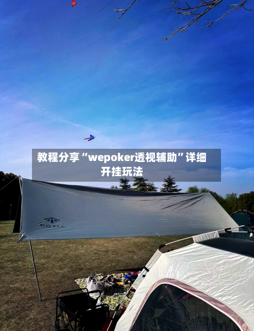 教程分享“wepoker透视辅助	”详细开挂玩法-第2张图片