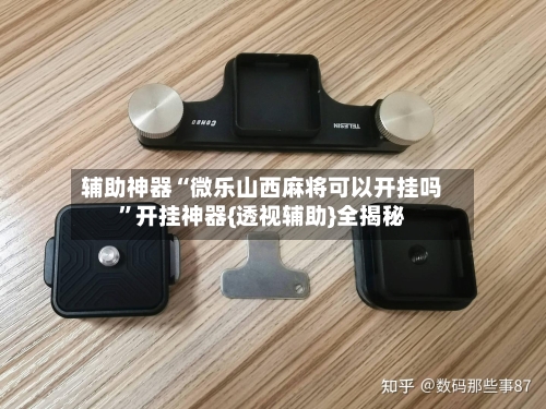 辅助神器“微乐山西麻将可以开挂吗”开挂神器{透视辅助}全揭秘