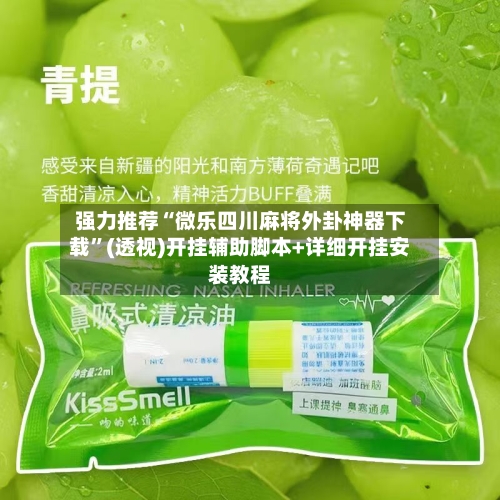 强力推荐“微乐四川麻将外卦神器下载”(透视)开挂辅助脚本+详细开挂安装教程-第3张图片