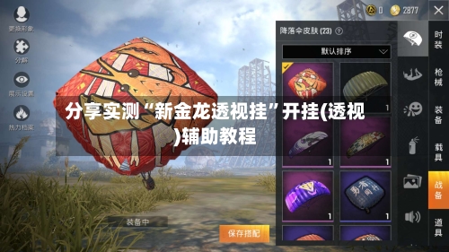 分享实测“新金龙透视挂”开挂(透视)辅助教程-第2张图片