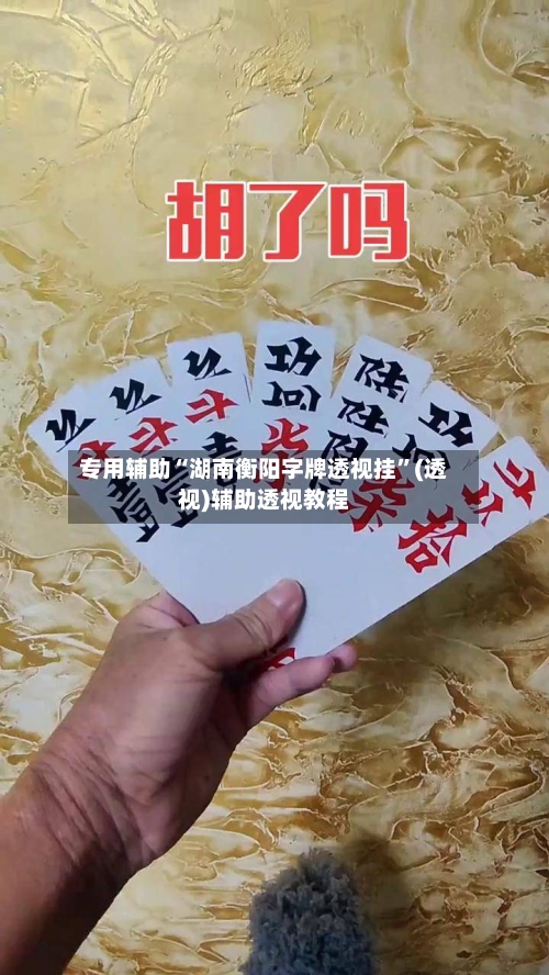 专用辅助“湖南衡阳字牌透视挂”(透视)辅助透视教程-第2张图片