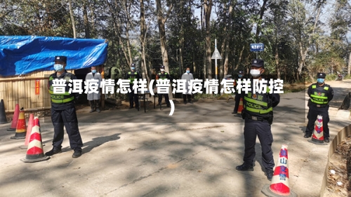 普洱疫情怎样(普洱疫情怎样防控)-第3张图片