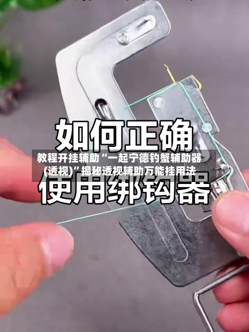 教程开挂辅助“一起宁德钓蟹辅助器(透视)”揭秘透视辅助万能挂用法-第3张图片