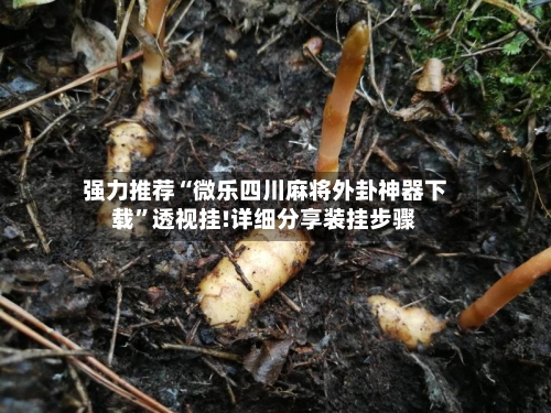 强力推荐“微乐四川麻将外卦神器下载”透视挂!详细分享装挂步骤-第2张图片