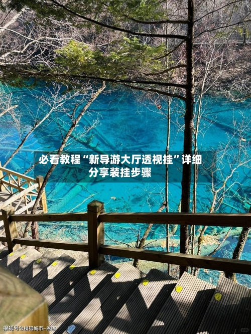 必看教程“新导游大厅透视挂	”详细分享装挂步骤-第2张图片