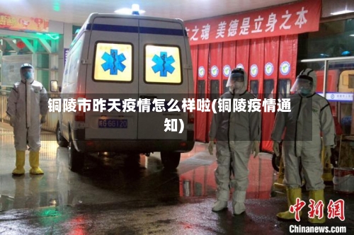 铜陵市昨天疫情怎么样啦(铜陵疫情通知)