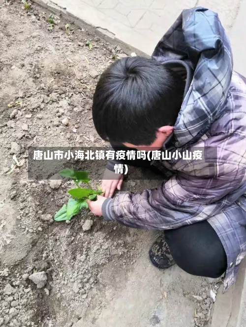 唐山市小海北镇有疫情吗(唐山小山疫情)
