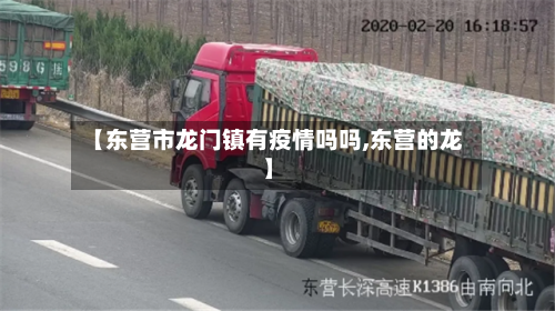 【东营市龙门镇有疫情吗吗,东营的龙】-第3张图片