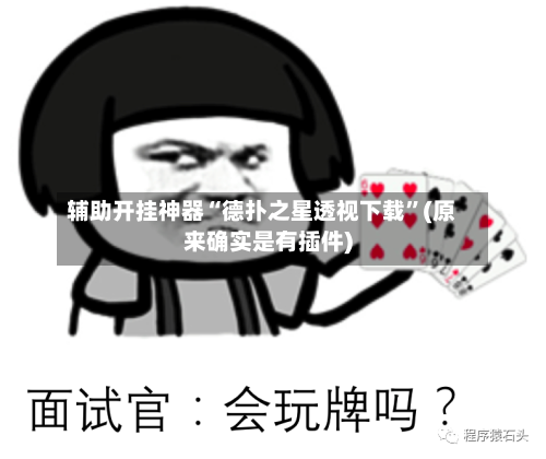 辅助开挂神器“德扑之星透视下载	”(原来确实是有插件)-第2张图片