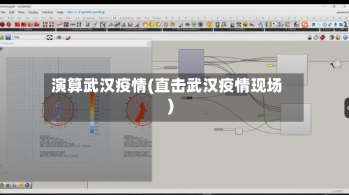 演算武汉疫情(直击武汉疫情现场)