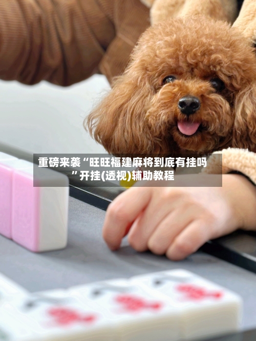 重磅来袭“旺旺福建麻将到底有挂吗”开挂(透视)辅助教程