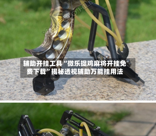 辅助开挂工具“微乐捉鸡麻将开挂免费下载”揭秘透视辅助万能挂用法-第2张图片