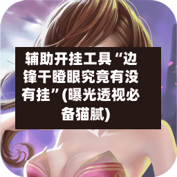 辅助开挂工具“边锋干瞪眼究竟有没有挂”(曝光透视必备猫腻)