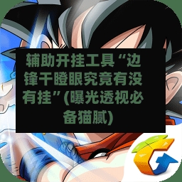 辅助开挂工具“边锋干瞪眼究竟有没有挂	”(曝光透视必备猫腻)-第2张图片