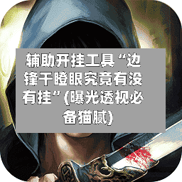 辅助开挂工具“边锋干瞪眼究竟有没有挂”(曝光透视必备猫腻)-第3张图片