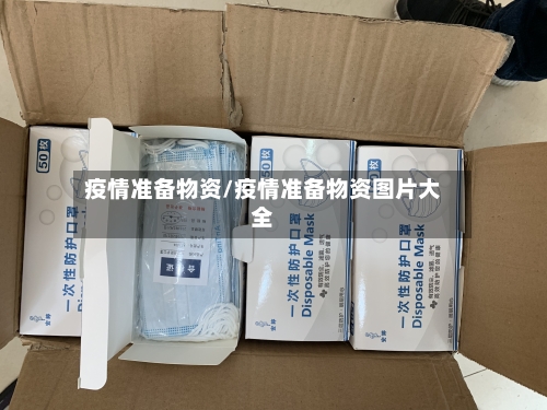 疫情准备物资/疫情准备物资图片大全
