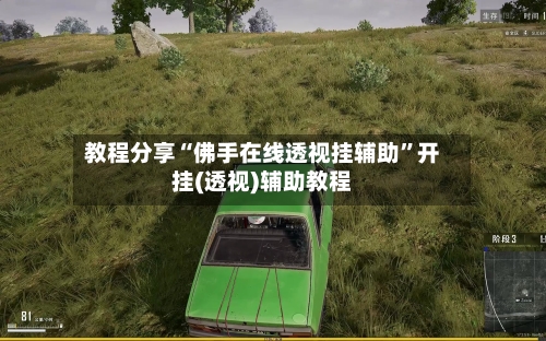 教程分享“佛手在线透视挂辅助”开挂(透视)辅助教程-第2张图片