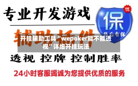 开挂辅助工具“wepoker能不能透视”详细开挂玩法-第2张图片