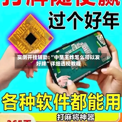 实测开挂辅助:“中至王炸怎么可以发好牌	”详细透视教程-第2张图片