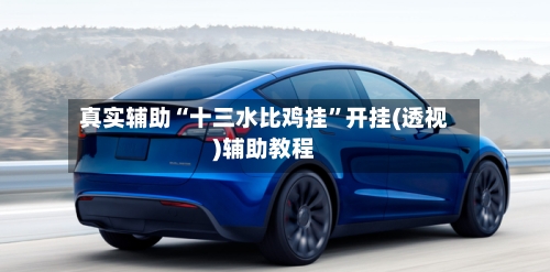 真实辅助“十三水比鸡挂”开挂(透视)辅助教程-第2张图片