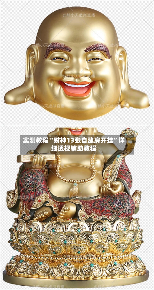 实测教程“财神13张自建房开挂”详细透视辅助教程