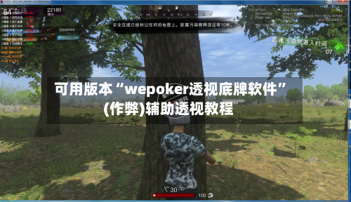 可用版本“wepoker透视底牌软件”(作弊)辅助透视教程-第3张图片