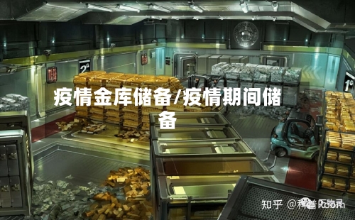 疫情金库储备/疫情期间储备