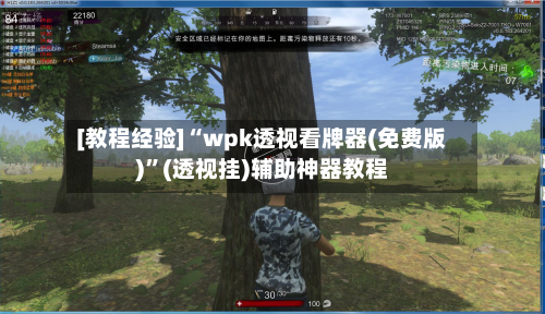 [教程经验]“wpk透视看牌器(免费版)”(透视挂)辅助神器教程-第3张图片