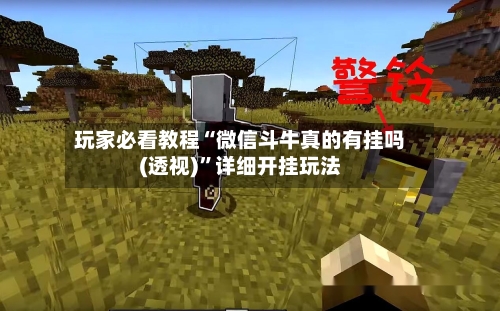 玩家必看教程“微信斗牛真的有挂吗(透视)”详细开挂玩法-第3张图片