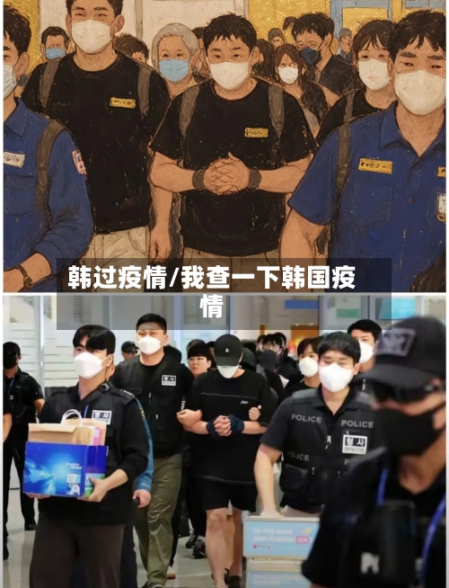 韩过疫情/我查一下韩国疫情