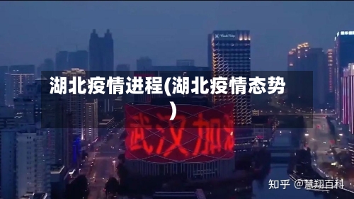 湖北疫情进程(湖北疫情态势)-第3张图片