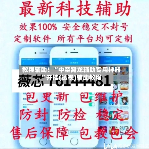 教程辅助！“中至窝龙辅助专用神器”开挂(透视)辅助教程-第2张图片