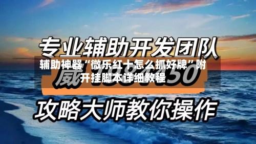 辅助神器“微乐红十怎么抓好牌”附开挂脚本详细教程-第2张图片