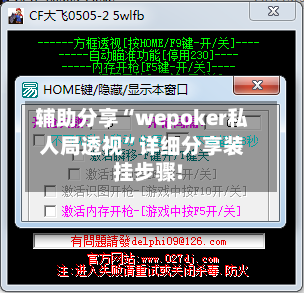 辅助分享“wepoker私人局透视	”详细分享装挂步骤!-第2张图片