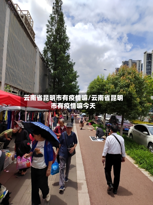 云南省昆明市有疫情嘛/云南省昆明市有疫情嘛今天-第2张图片